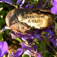 adventures_await_200x200