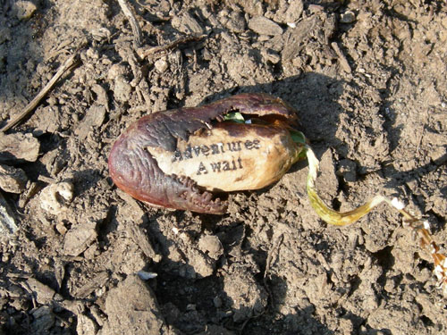 adventures_await_dirt_500x375 