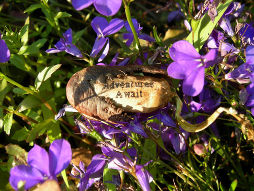 adventures_await_flowers 500x375