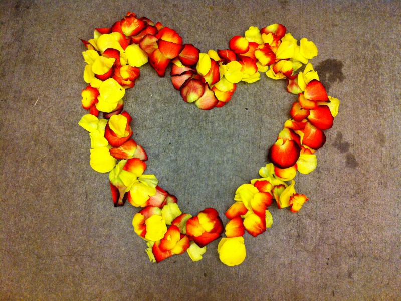 heartlei_800x600